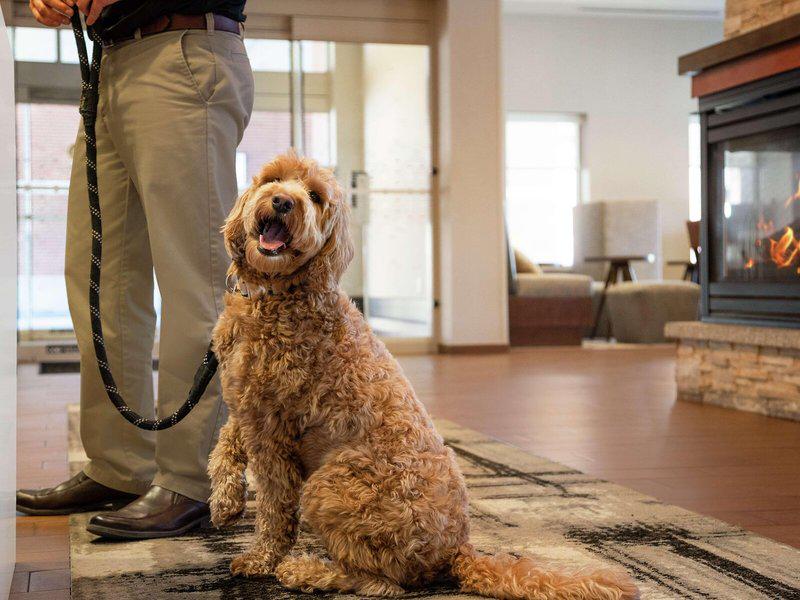 7C6F868E4BF407B876C94D7584619FCE