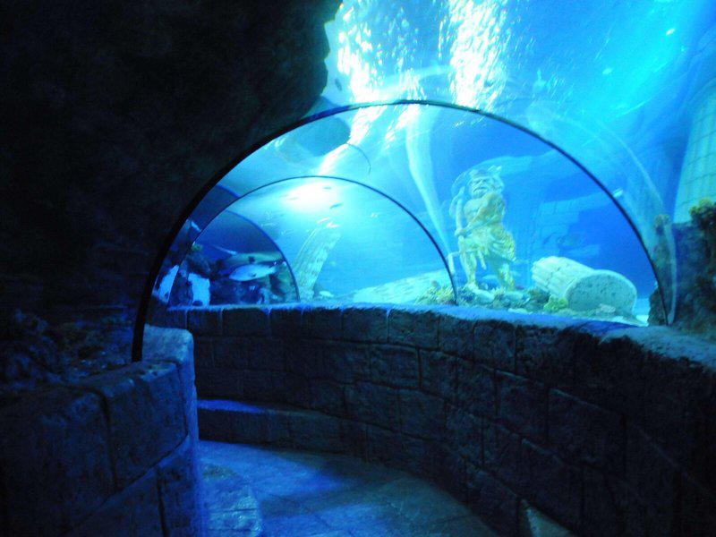 210F53384446B8195001B954D4949016