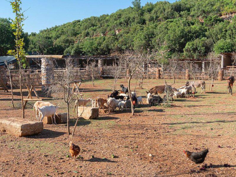 633FCA6B4FE1D180405EE2E3DEC17E50