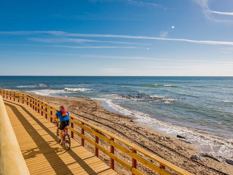 1E0D189B86B8D3ECC6A70A5535E4963B