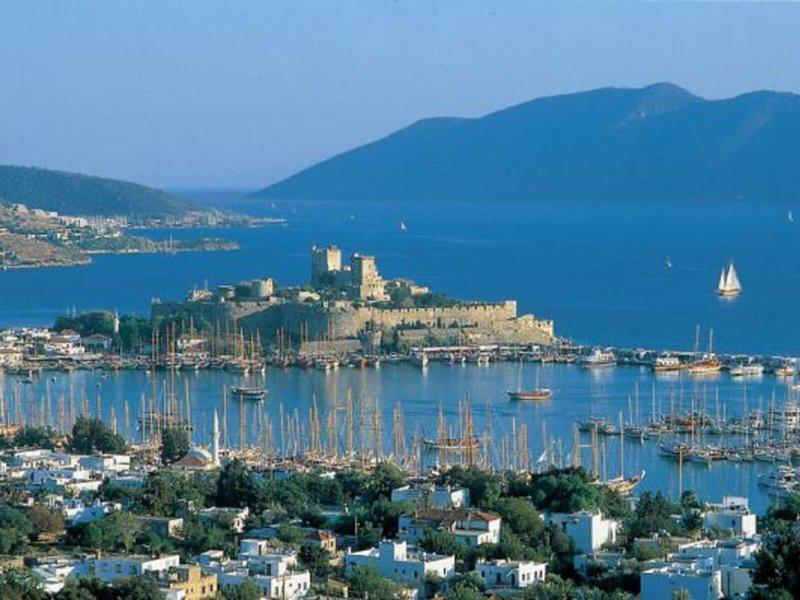 4A9191AC33A4DA7B151797E78F58025F