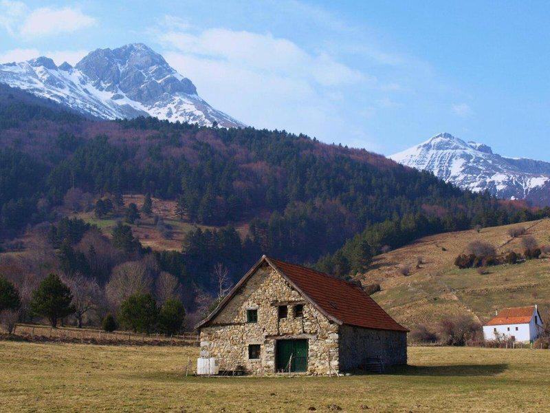 973D3FF8D386EE424B6E6D55D96BE87B