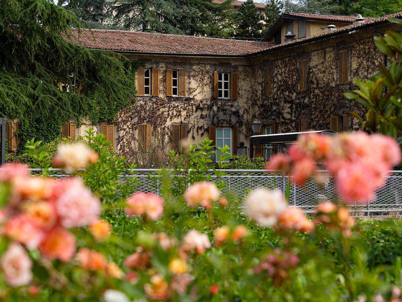 82A2F01D0C950A8D493D7C43B3CBC66B