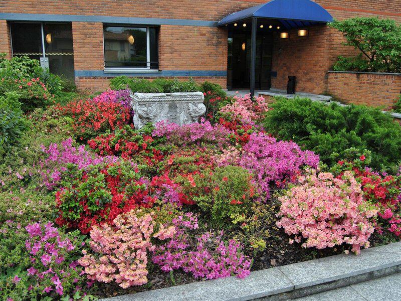 63F23A86B22E622B321639210A6737C2