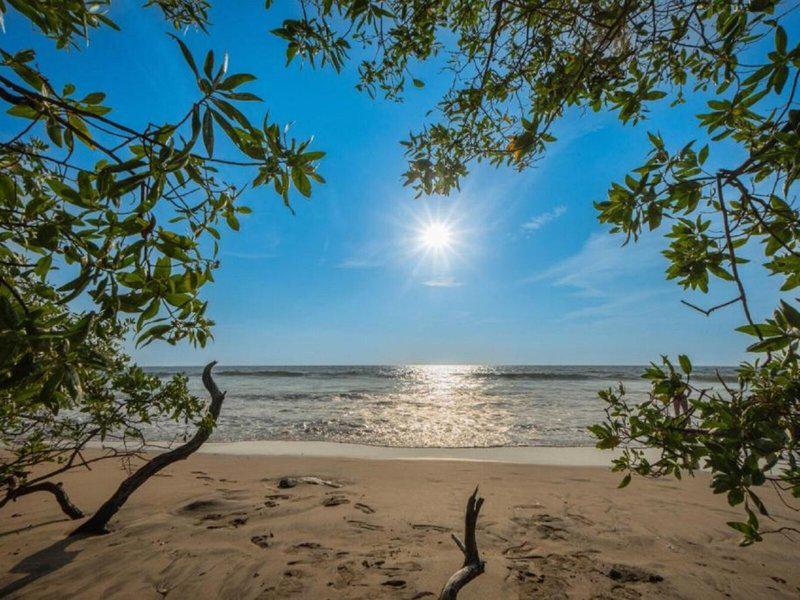 3A31AE384730865B5776A96FA9D04174