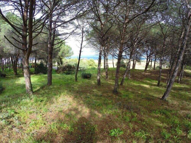 619C867F094A42B2188258A8807074D9