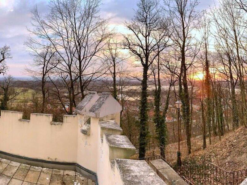 D08E8552EFD88CE9630C7875366258E4