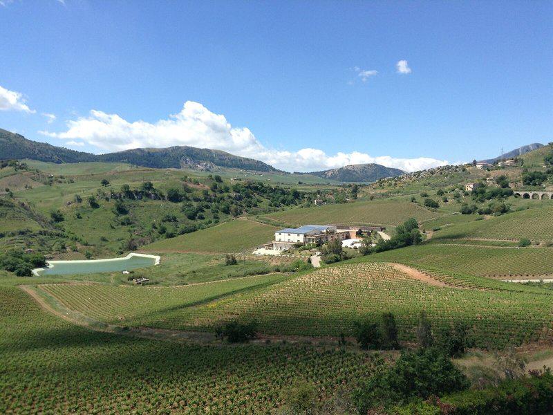 E58893C30805AD1EFCD3F2B6D569CB9D