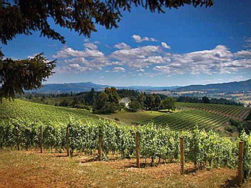 AF3D7C3ABFC6EFF958F169809FAA62A2