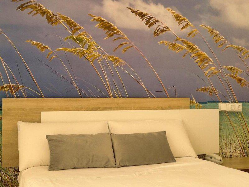 CD3A47B3B65AEB230C4330CAF8608981