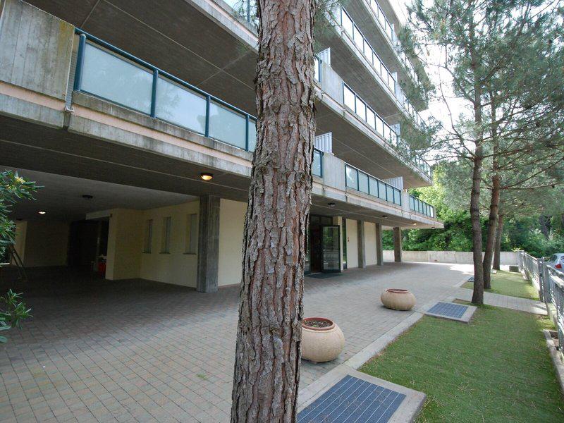 C4CEE41F5DF9358174F7AF26606FB2AB