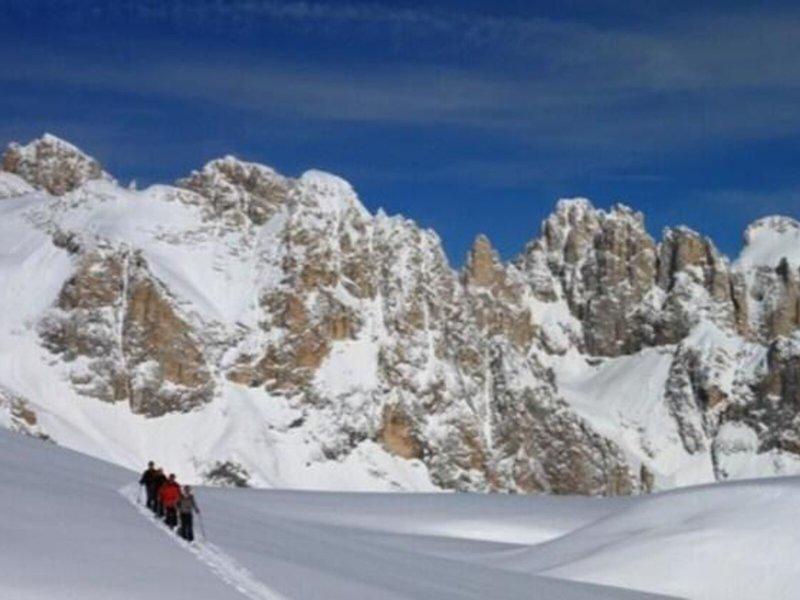 5044DEB397F31ED925E786E8BEB17170