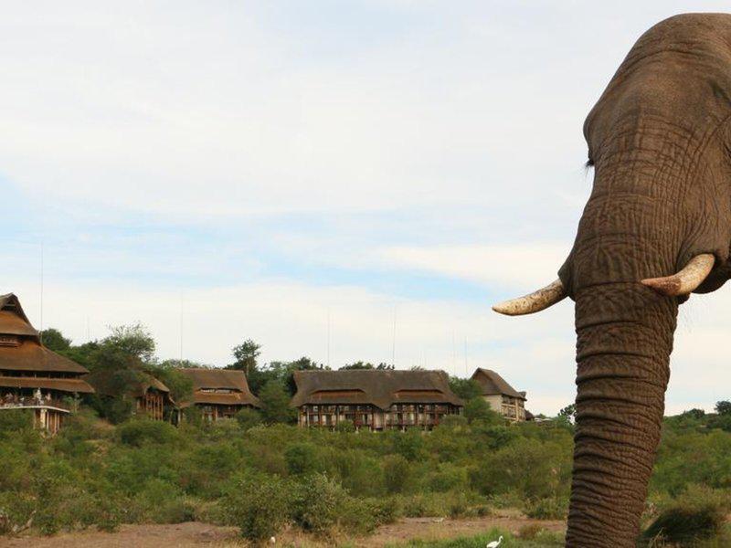 00BEE3052E505D9C0D91A61515D20D58