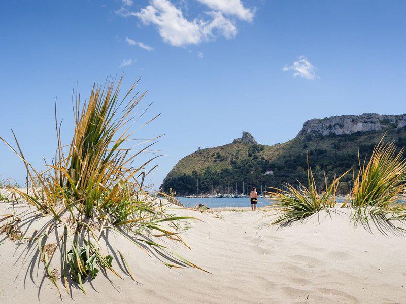 A7157933004712A90CD4AEC913EE56AA