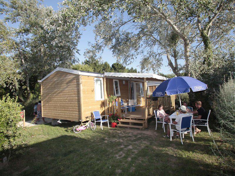 B0CB66ACE8B4F5BE2B52BBECB6A9A4BA