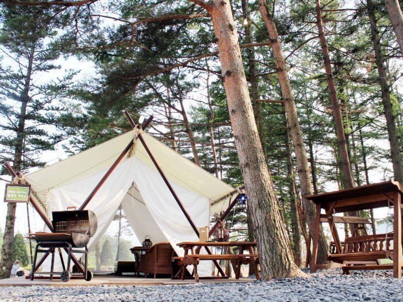 2C6254908ABD822F8FB4491B5BD414CD