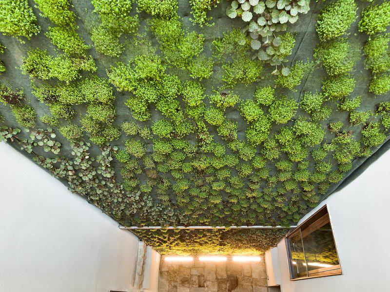 7ACC087DCC2B7567AA173B698C4AE52E