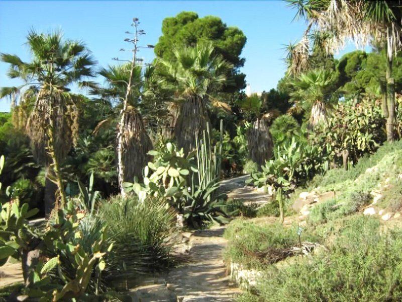 3218B4E88A26FE4FDDE074CFF10C2991