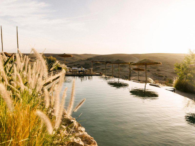 E9D34A0F2A399D0ECE982E487505D5A7