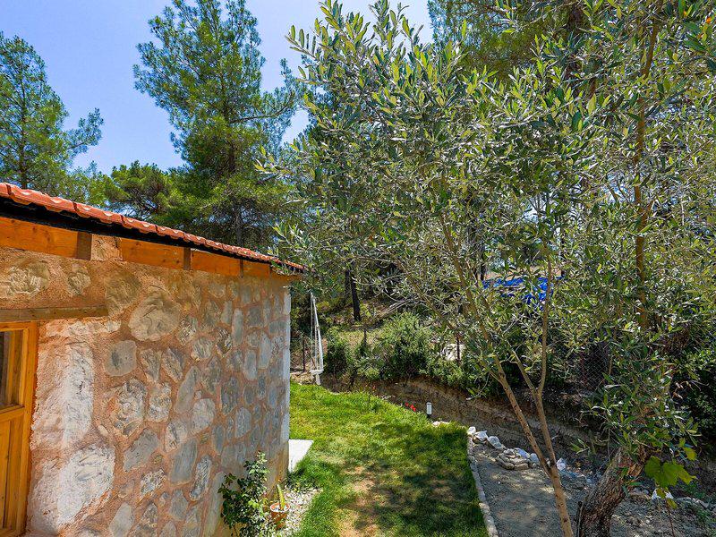 47D80ED02069A8FC9D362A9837143D30