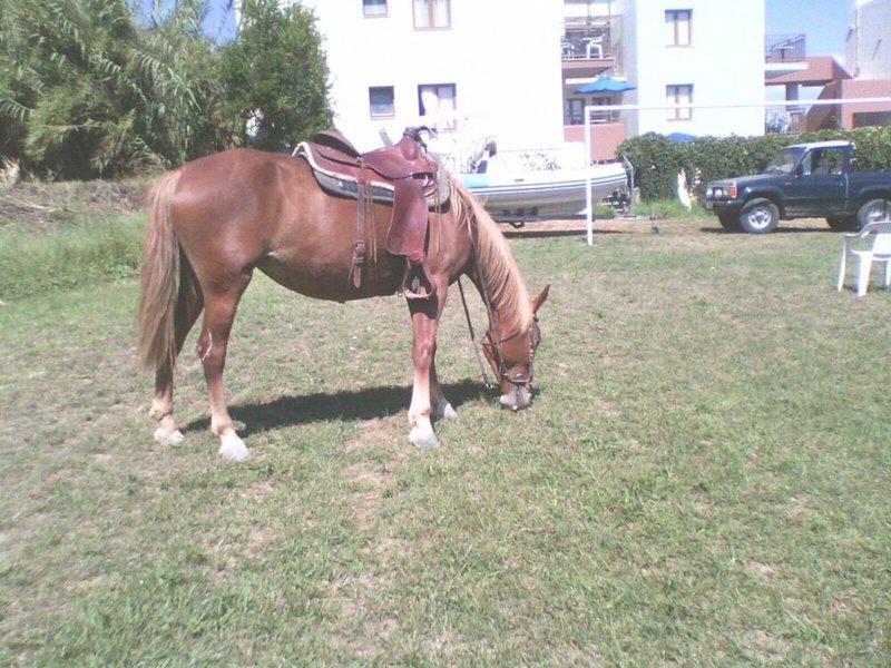 07ECF4B31ADE449E7A6DAA7505FC62EE