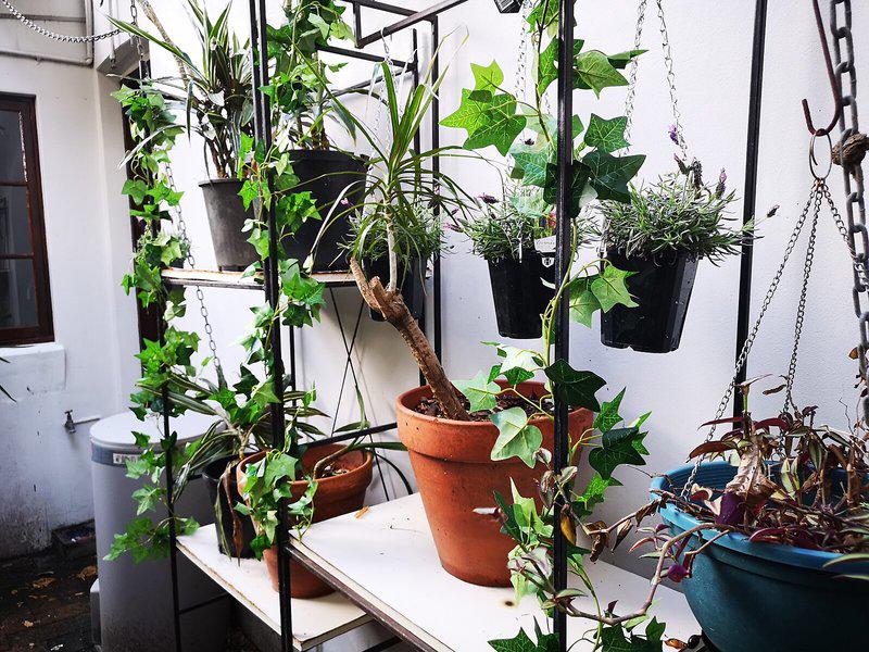 4DAAB7B0CAA844FCD0CB26F703919C1A