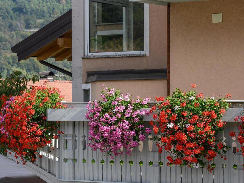 D0002400D50638EA35693EE4EC5FB2ED