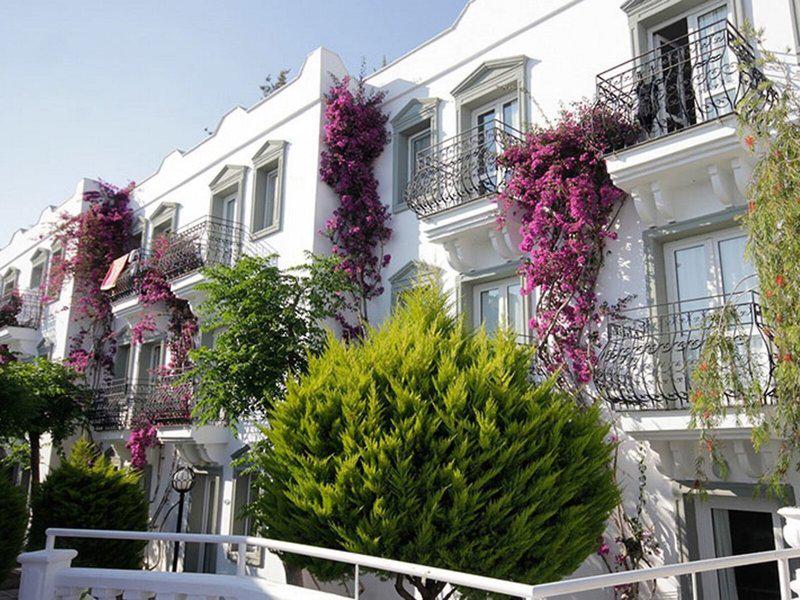 53333C8BE5691593DE7961A4FCA0F831