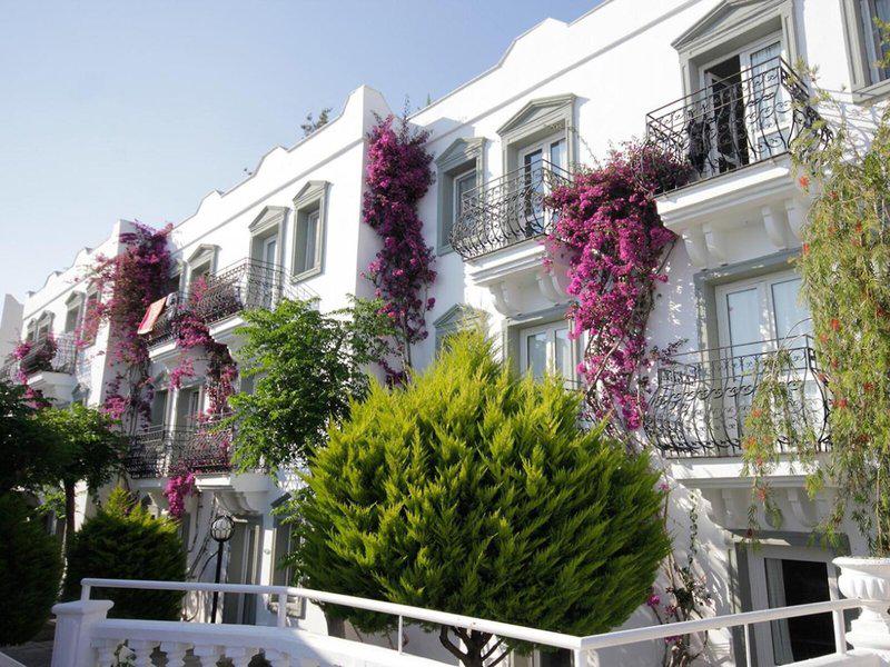 8551AED8F6D33786EA301210F03D24F9