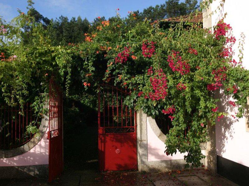 27BED0CE7540614D558FD1845F5464AD