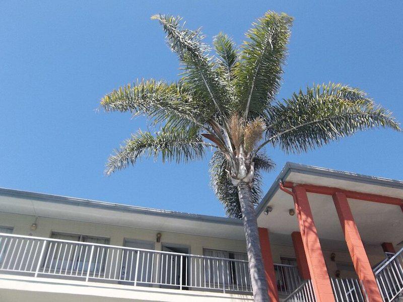 5A0E4E59834E821984086B8A7A6D12AE