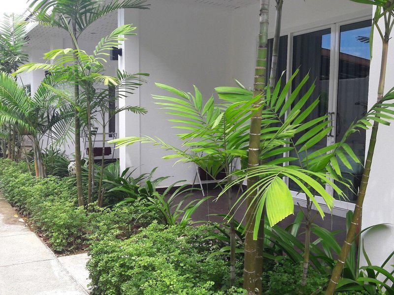 97C8DB5AE21C83DB12EAC5DA25F22B8D