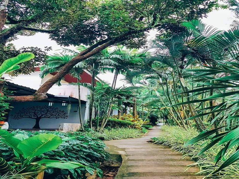 462D50A4B860942CE385984CB95E6EE9