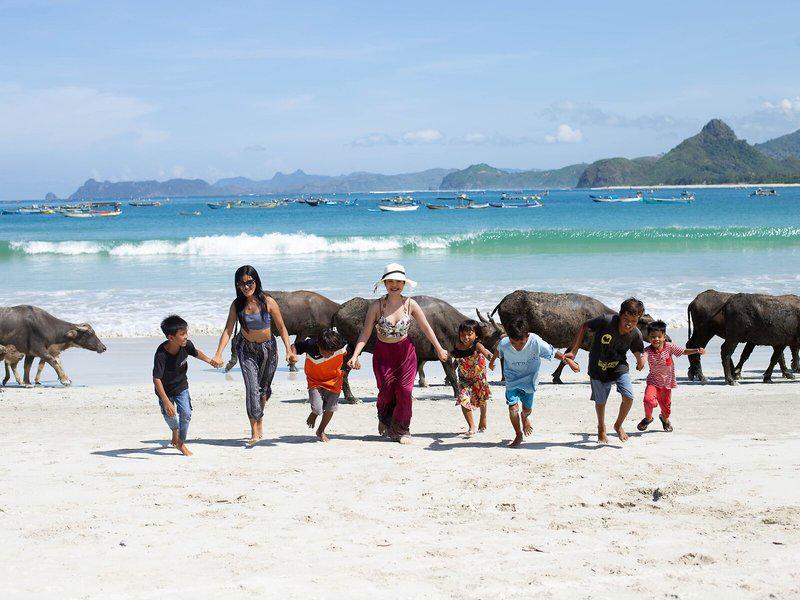 090BE7977AE455CA335C713236DF180F