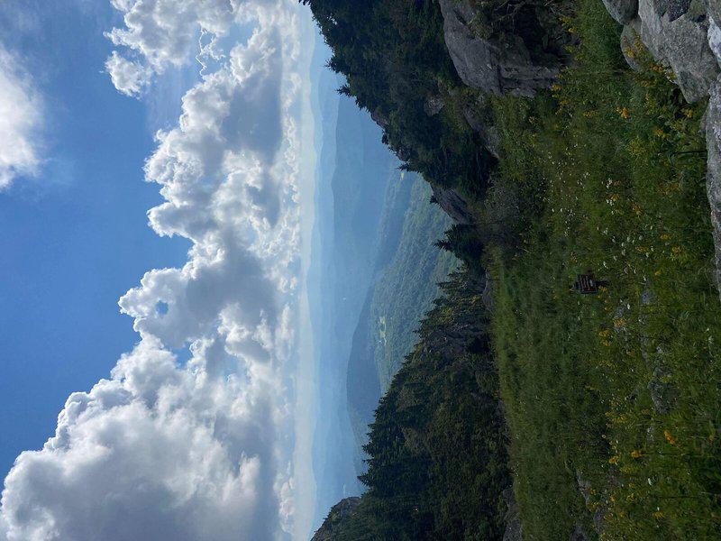 52BC368C598B67D6F104DFB0984881B4