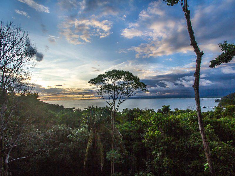 D249F445CE019E484C811F2FCEE06DBE