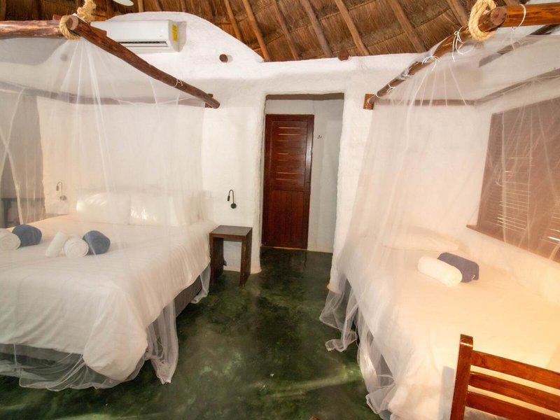 70D58BE9D7E78466B2EC6121EA0FF2B7