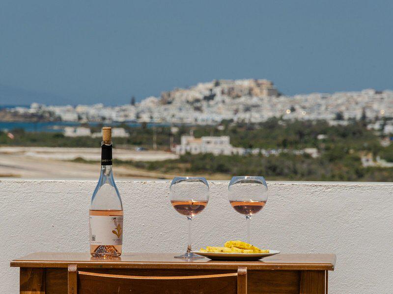 08D0376102491393FC1F46D184990305