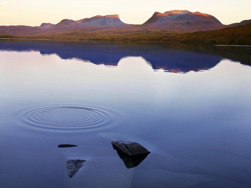 413FC9F450273499E66D8483C890C2F9