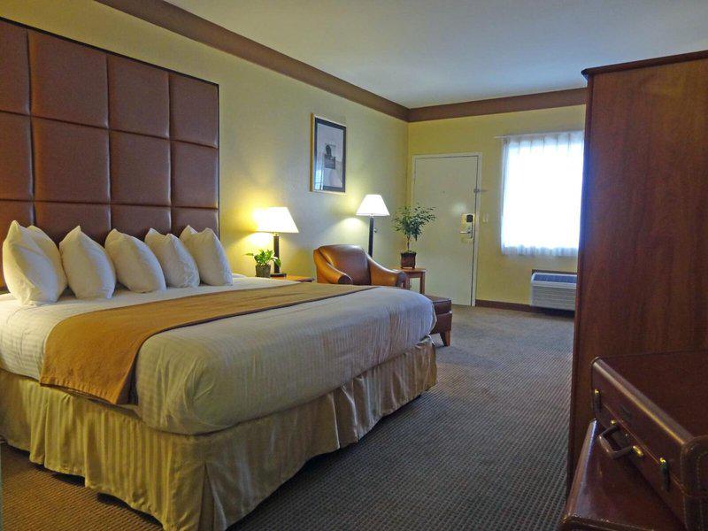 B81BDE238C2A9BC630A2CFD19D870201