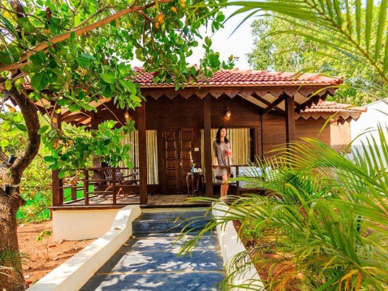 C0095873B5D4AF7331A771E3E2614CFE