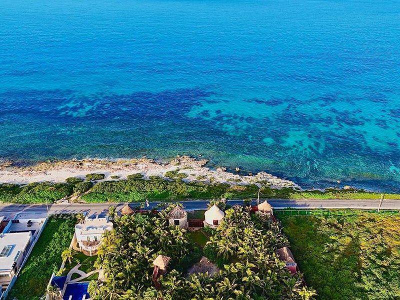 C9E8E22F78E5557A9536912A4C881267