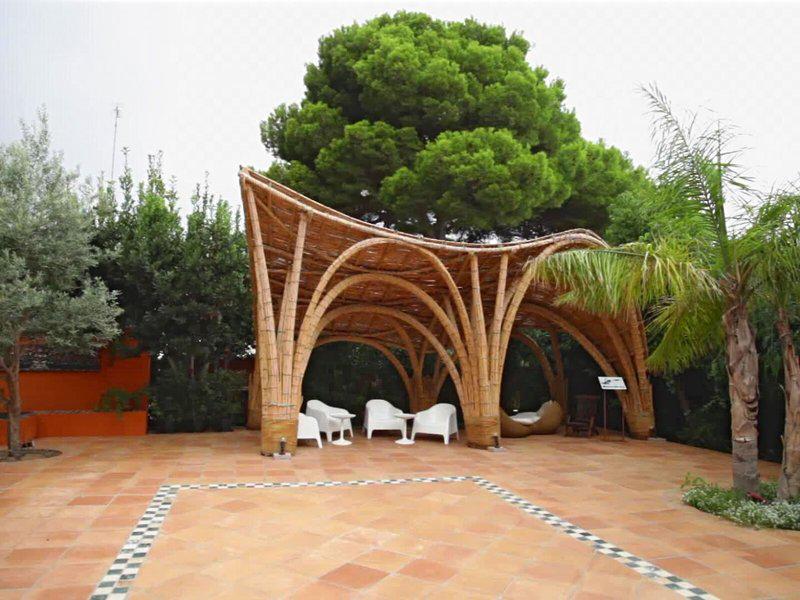 C777D270DB85EF29F02F2E74DAC8AA6A