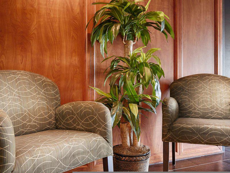 4C0E95EB3C788E0D996A53C1B0465689