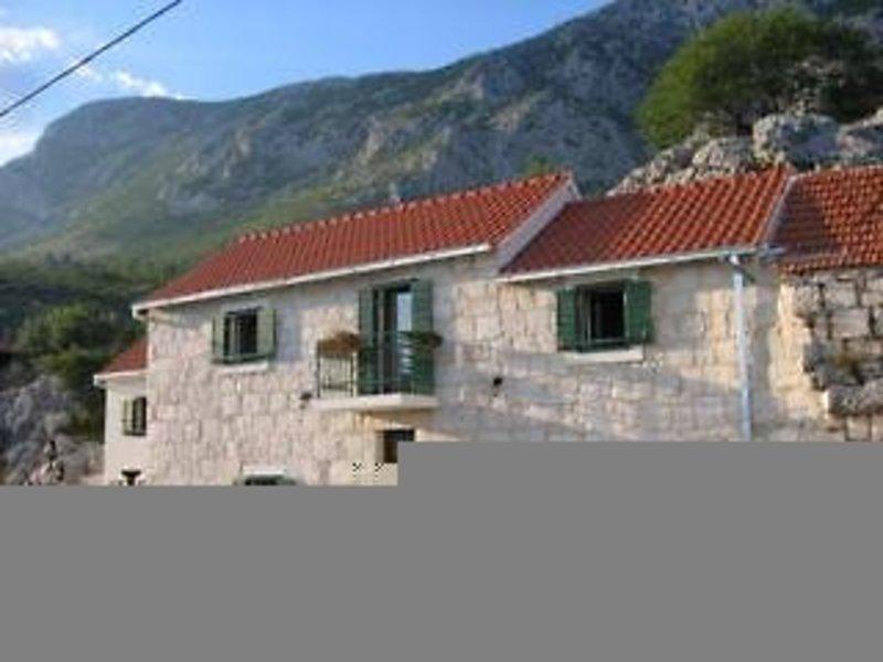 23F1DB58225025114908ED3672F4BC2E