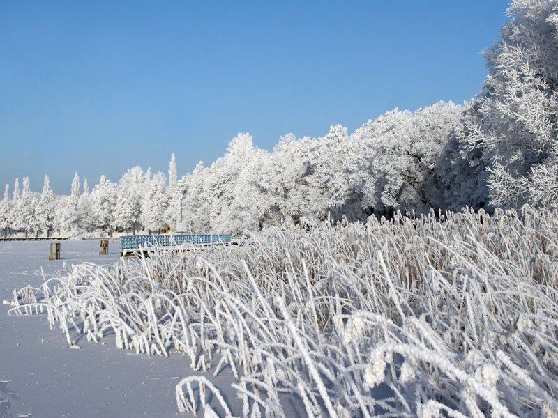 F6CA107D2B33C04422885ED091575F39