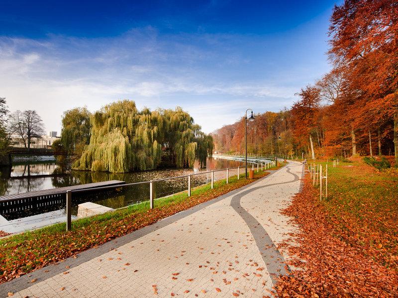 51E976341C61F86837A1CC7436098778