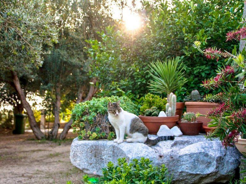 74310ABE0777DC3585FA1320C2747198