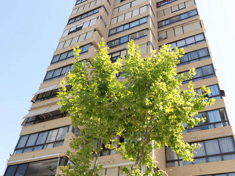 8A1BC08E697BF8A3AB03C9AA5E96F660