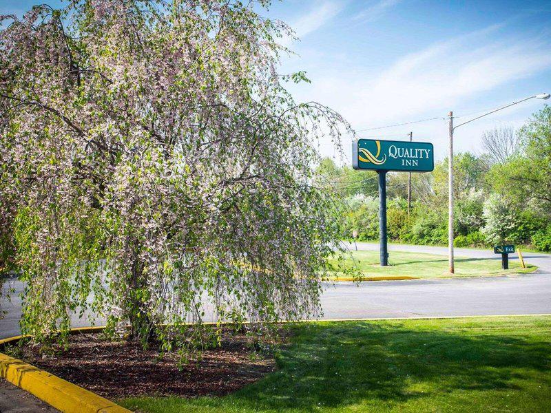 CF16496CF794E554B222190E69C591F3